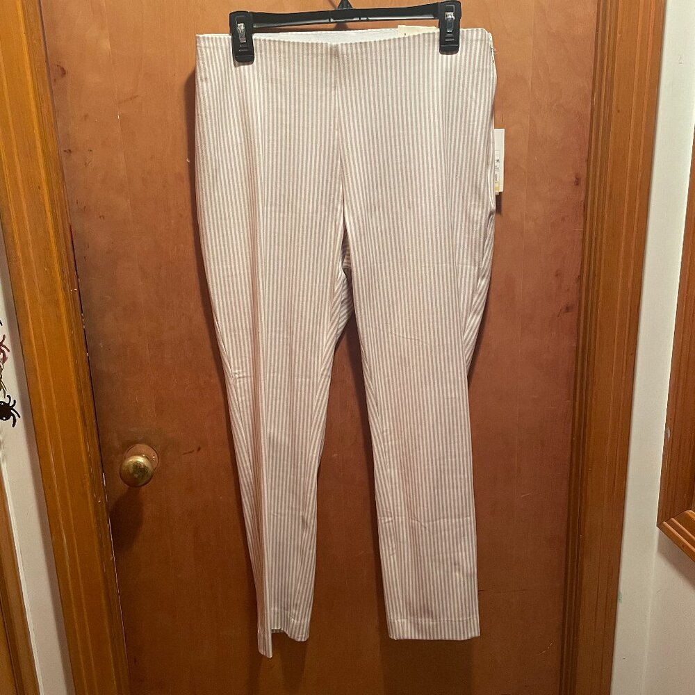 High Rise Skinny Stretch Cropped Pants (10 R)